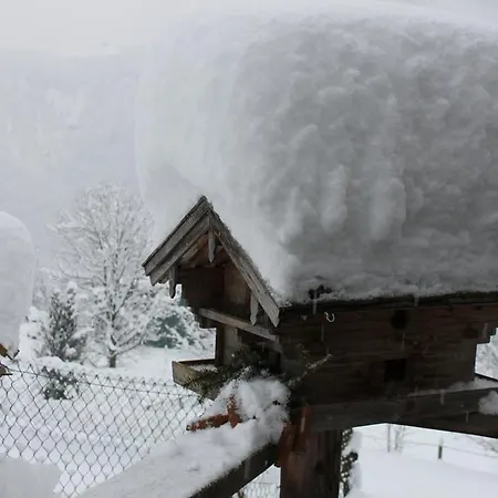Guest house Lugeck 3*