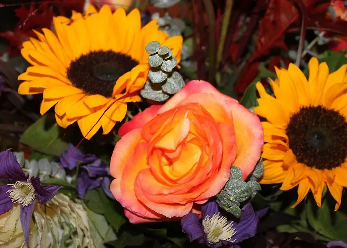 Lugeck 3* Berchtesgaden